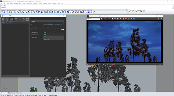 vray proxy trees rhino